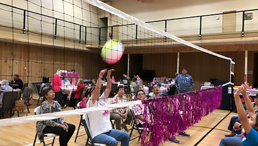 Volleyball Systems