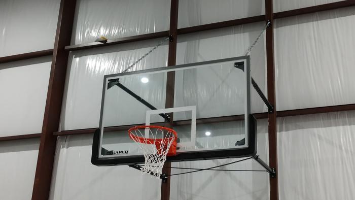 Gared Sports Wall Mount Stationary Glass Backboard with Steel Frame